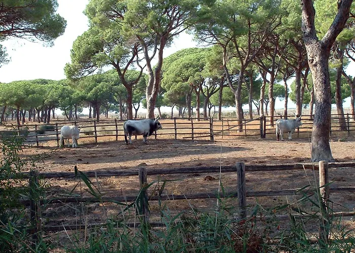 Casale Gli Ulivi