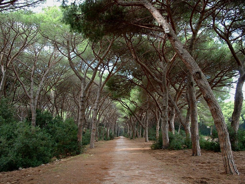 Casale Gli Ulivi Bauernhof Orbetello